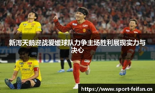 非凡体育