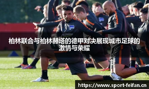 非凡体育平台